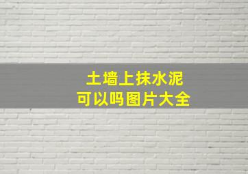 土墙上抹水泥可以吗图片大全