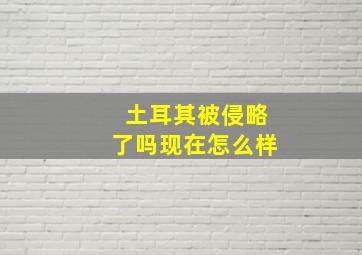 土耳其被侵略了吗现在怎么样