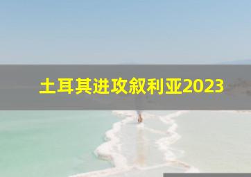 土耳其进攻叙利亚2023