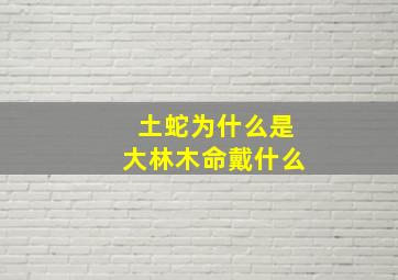 土蛇为什么是大林木命戴什么