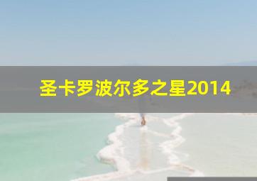 圣卡罗波尔多之星2014