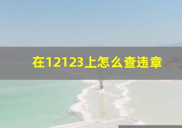 在12123上怎么查违章