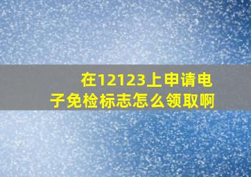 在12123上申请电子免检标志怎么领取啊