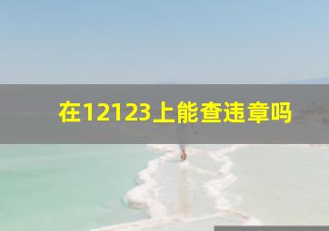 在12123上能查违章吗