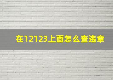 在12123上面怎么查违章