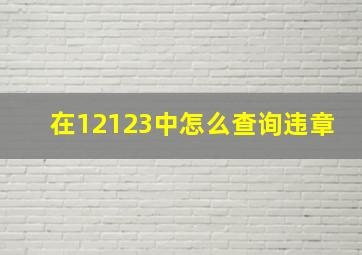 在12123中怎么查询违章