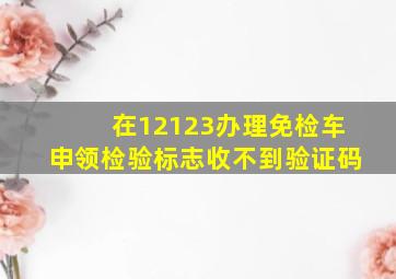 在12123办理免检车申领检验标志收不到验证码