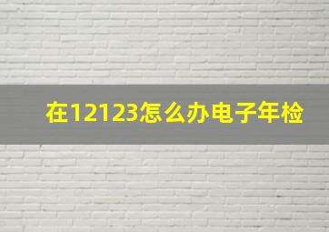 在12123怎么办电子年检