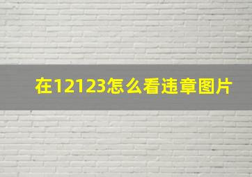 在12123怎么看违章图片