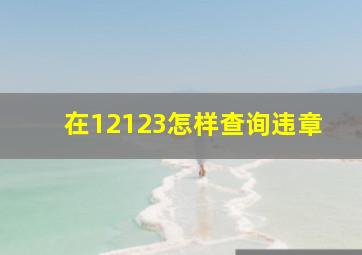 在12123怎样查询违章