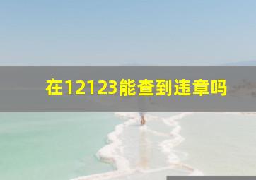 在12123能查到违章吗