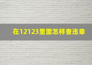 在12123里面怎样查违章