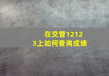 在交管12123上如何查询成绩