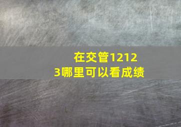 在交管12123哪里可以看成绩