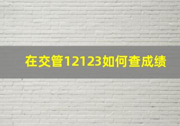 在交管12123如何查成绩