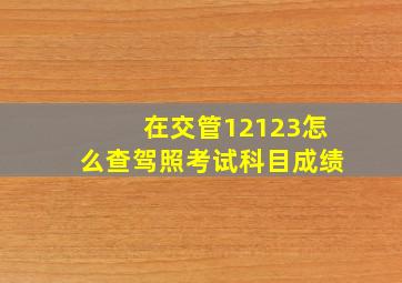 在交管12123怎么查驾照考试科目成绩