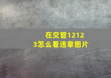 在交管12123怎么看违章图片