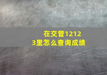 在交管12123里怎么查询成绩