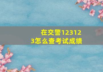 在交警123123怎么查考试成绩