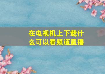 在电视机上下载什么可以看频道直播