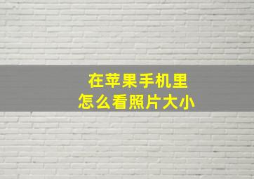 在苹果手机里怎么看照片大小