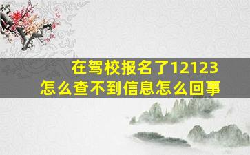 在驾校报名了12123怎么查不到信息怎么回事