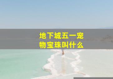 地下城五一宠物宝珠叫什么