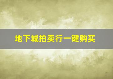 地下城拍卖行一键购买