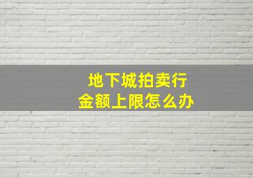 地下城拍卖行金额上限怎么办