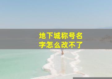 地下城称号名字怎么改不了