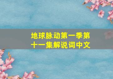 地球脉动第一季第十一集解说词中文