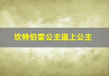 坎特伯雷公主追上公主