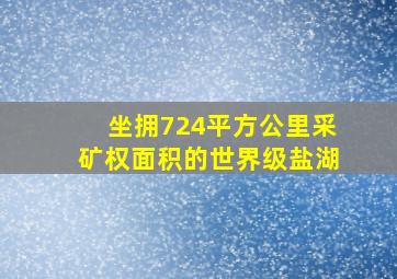 坐拥724平方公里采矿权面积的世界级盐湖