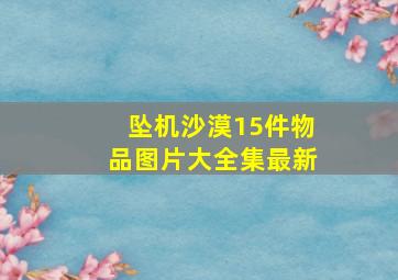 坠机沙漠15件物品图片大全集最新