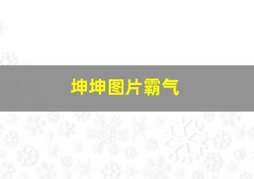 坤坤图片霸气