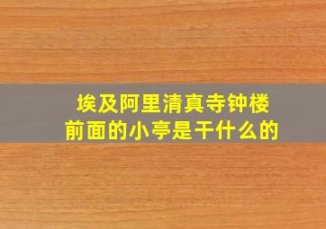 埃及阿里清真寺钟楼前面的小亭是干什么的