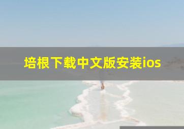 培根下载中文版安装ios