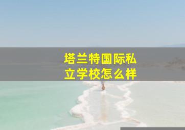 塔兰特国际私立学校怎么样