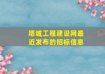 塔城工程建设网最近发布的招标信息