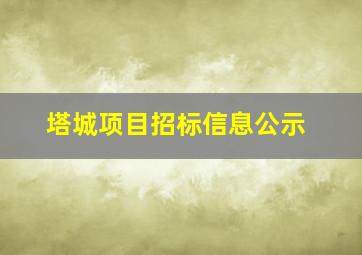 塔城项目招标信息公示