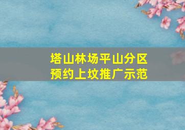 塔山林场平山分区预约上坟推广示范