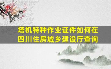 塔机特种作业证件如何在四川住房城乡建设厅查询