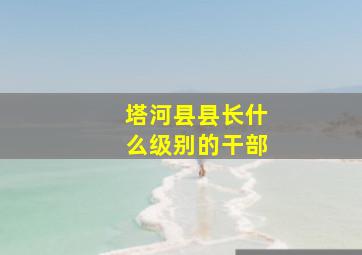 塔河县县长什么级别的干部