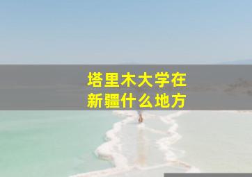 塔里木大学在新疆什么地方