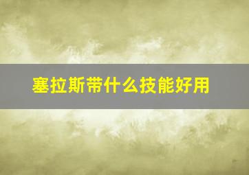 塞拉斯带什么技能好用