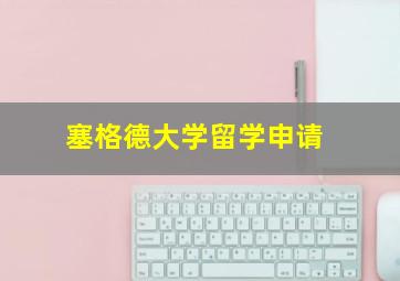 塞格德大学留学申请