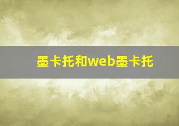 墨卡托和web墨卡托