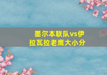 墨尔本联队vs伊拉瓦拉老鹰大小分