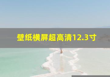 壁纸横屏超高清12.3寸