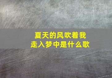 夏天的风吹着我走入梦中是什么歌